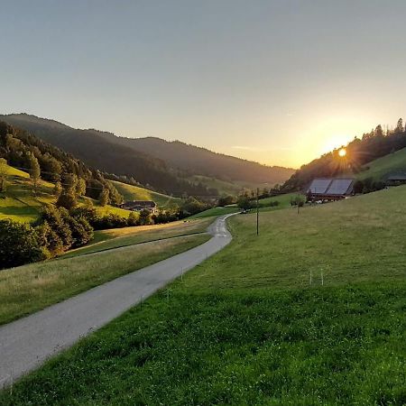 Irgendwo Im Schwarzwald Apartment Elzach Luaran gambar