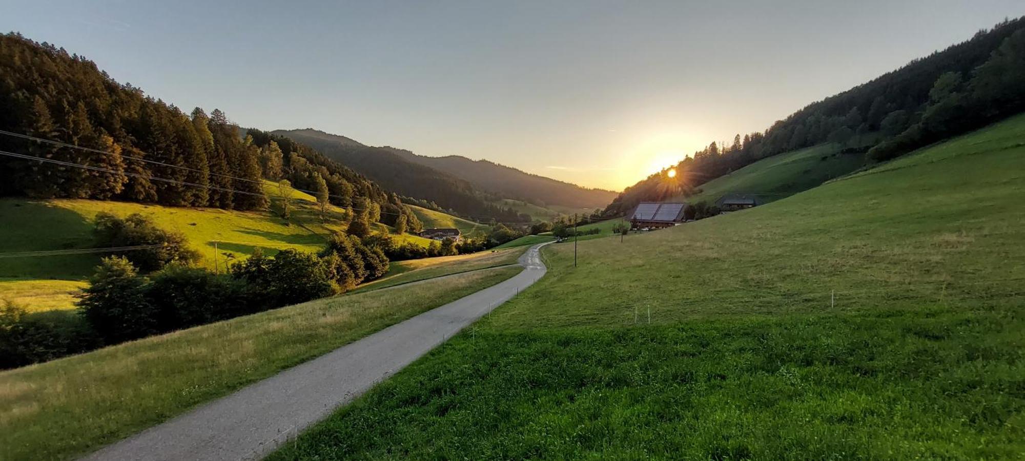 Irgendwo Im Schwarzwald Apartment Elzach Luaran gambar