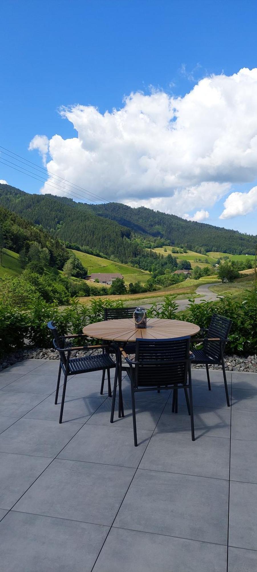Irgendwo Im Schwarzwald Apartment Elzach Luaran gambar